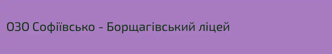 ОЗО Софіївсько - Борщагівський ліцей